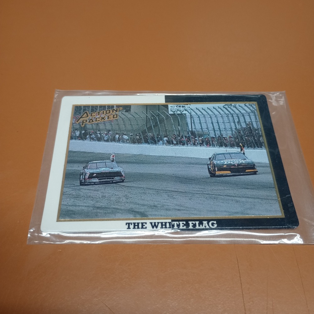1994 Action Packed Dale Earnhardt The White Flag #37 NASCAR Racing Card Tribute